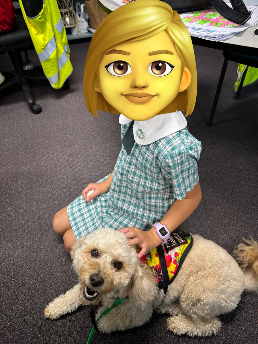 Therapuppy1's tweet image. Jellybean looks thoroughly pleased with himself. He helped this little poppet who was upset at the gate and into the classroom. The power of a dog is amazing to witness 🐶🥰#Jellybean #schooldog #dogsofeducation #therapydog #lovewhatwedo #powerofadog