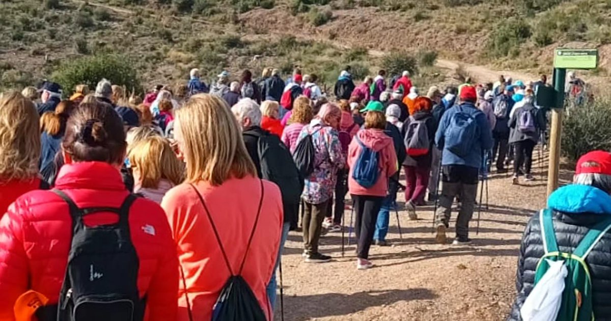 SOM Castelldefels tweet media
