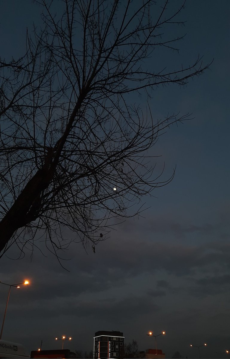 "Mutluluk bir kıvılcımla tükenir, acı bir tebessümle diner. 
İnsan değişmem dedikçe değişerek insana dönüşür. 
Ben de dönüştüm..."