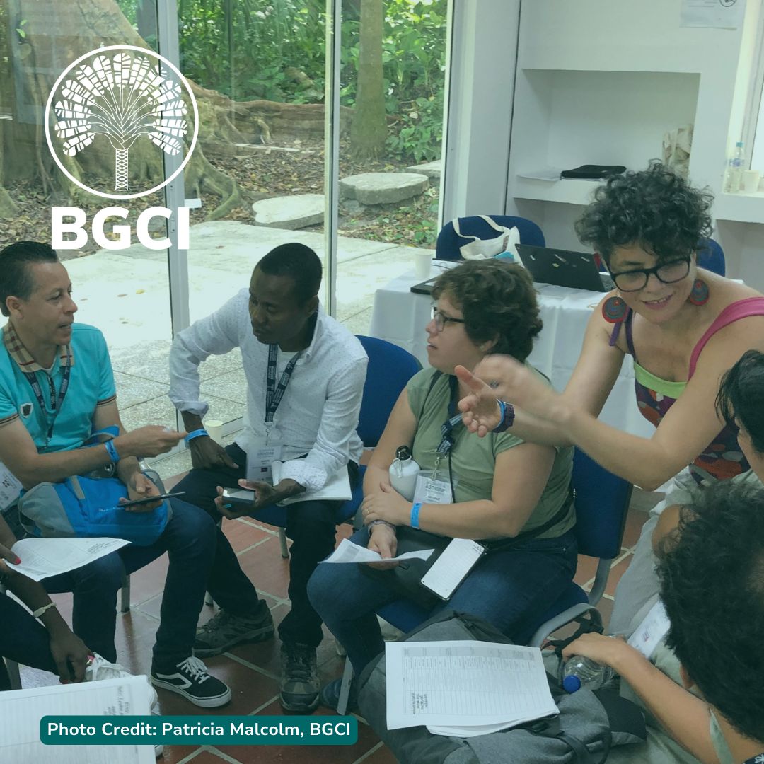 bgci's tweet image. A wonderful workshop delivered at #BotanicalBridges2024 run by BGCI staff members. The workshop covered Managing Collections Data in Spanish &amp;amp; English to ensure opportunities for collaboration. Thanks to Jardín Botánico de Cartagena for hosting.
#ConservationWorkshop