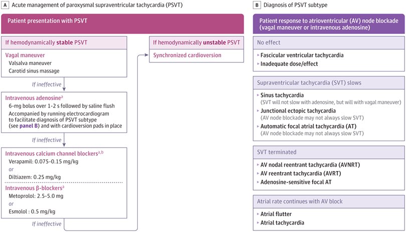 ZHeart11768530's tweet photo. 🔴Diagnosis and Management of Paroxysmal Supraventricular Tachycardia 

https://t.co/aL6PwLssJe
 #CardioEd #Cardiology #CardioTwitter https://t.co/egSP18hlwA
