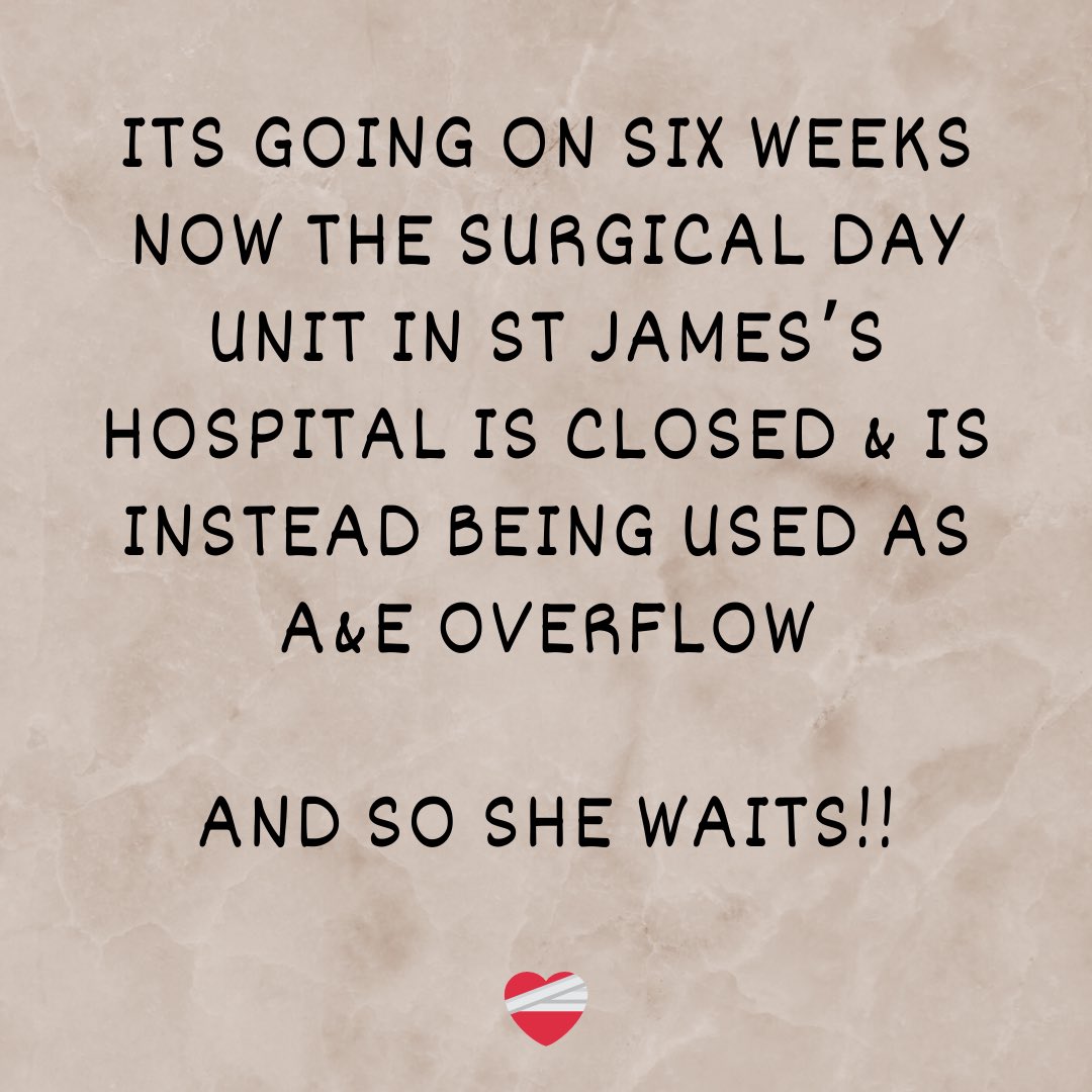 My Left Bust tweet media