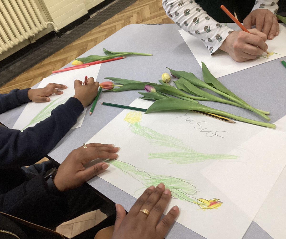 Wyvil Primary School tweet media