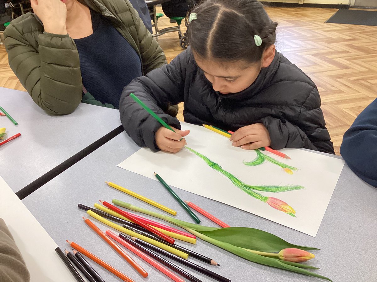 Wyvil Primary School tweet media