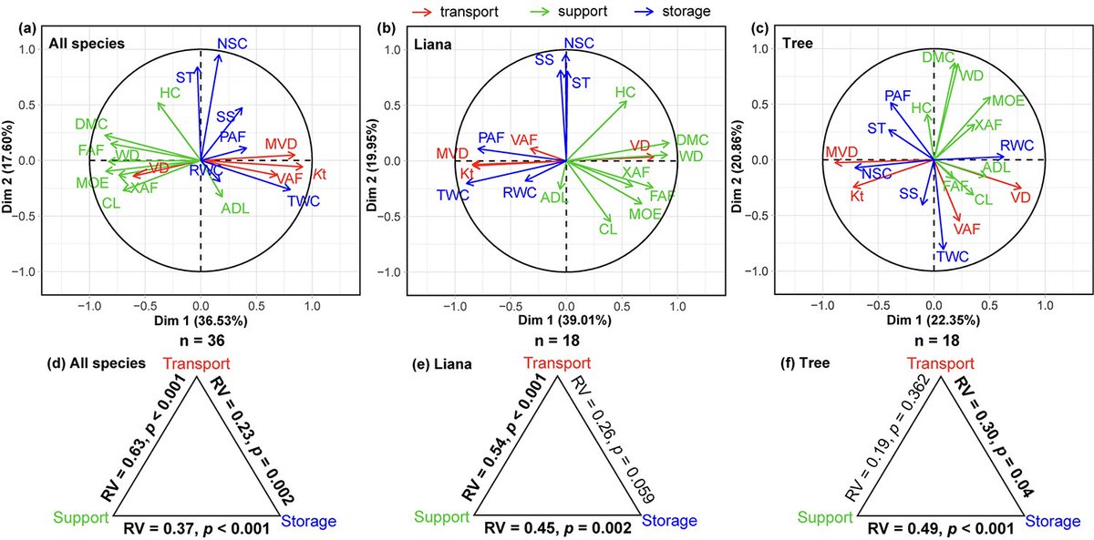Botanical_'s tweet photo. Linkages among stem xylem transport, #biomechanics & storage in #lianas & trees across three contrasting environments
New #AJB research by Ke-Yan Zhang, Da Yang, Yun-Bing Zhang, Xun-Ru Ai et al
https://t.co/lqLo1KlITK #botany #ecophysiology #climatechange @wileyplantsci https://t.co/4EF5kqlpKK