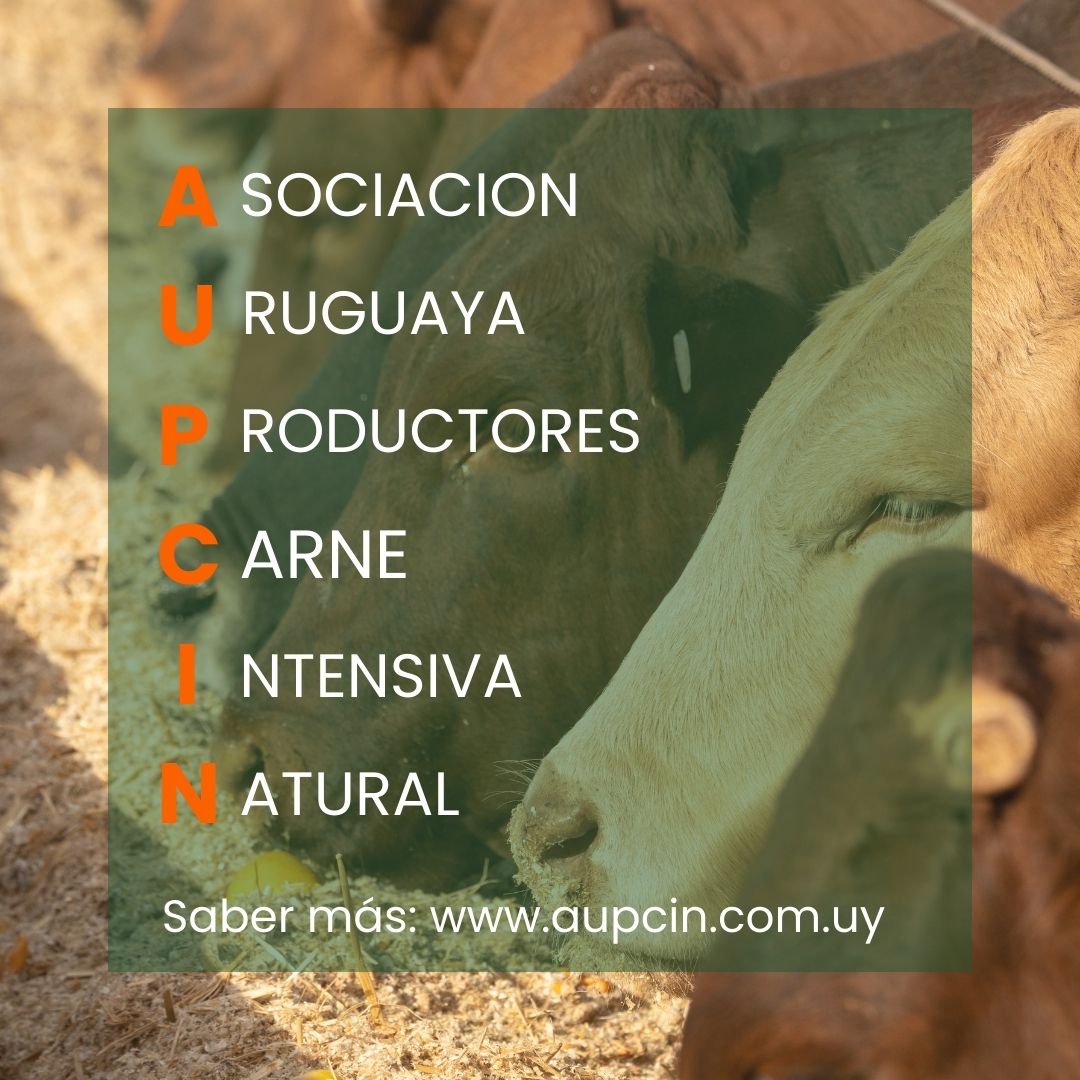 Ahora estamos en X! #aupcin #ganaderiaintensiva #feedlot #produccionintensiva