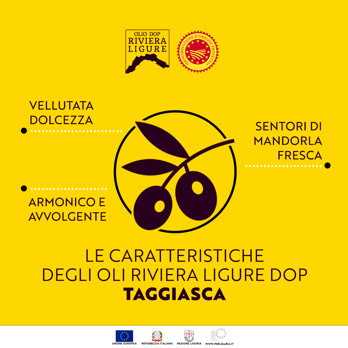 Olio Riviera Ligure tweet media