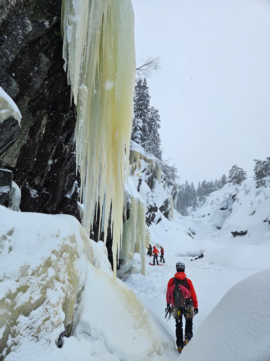 THE ULTIMATE IN EXTREME PRODUCT PLACEMENT ☕🥶

Credit to cailean for these amazing images from his recent trip to Norway. Great to see our coffee traveling ✈️ the world 🌍 keeping the climbers warm
 #ExtremeProductPlacement  #GlobalCoffee #TravelingCoffee #NorwayAdventure