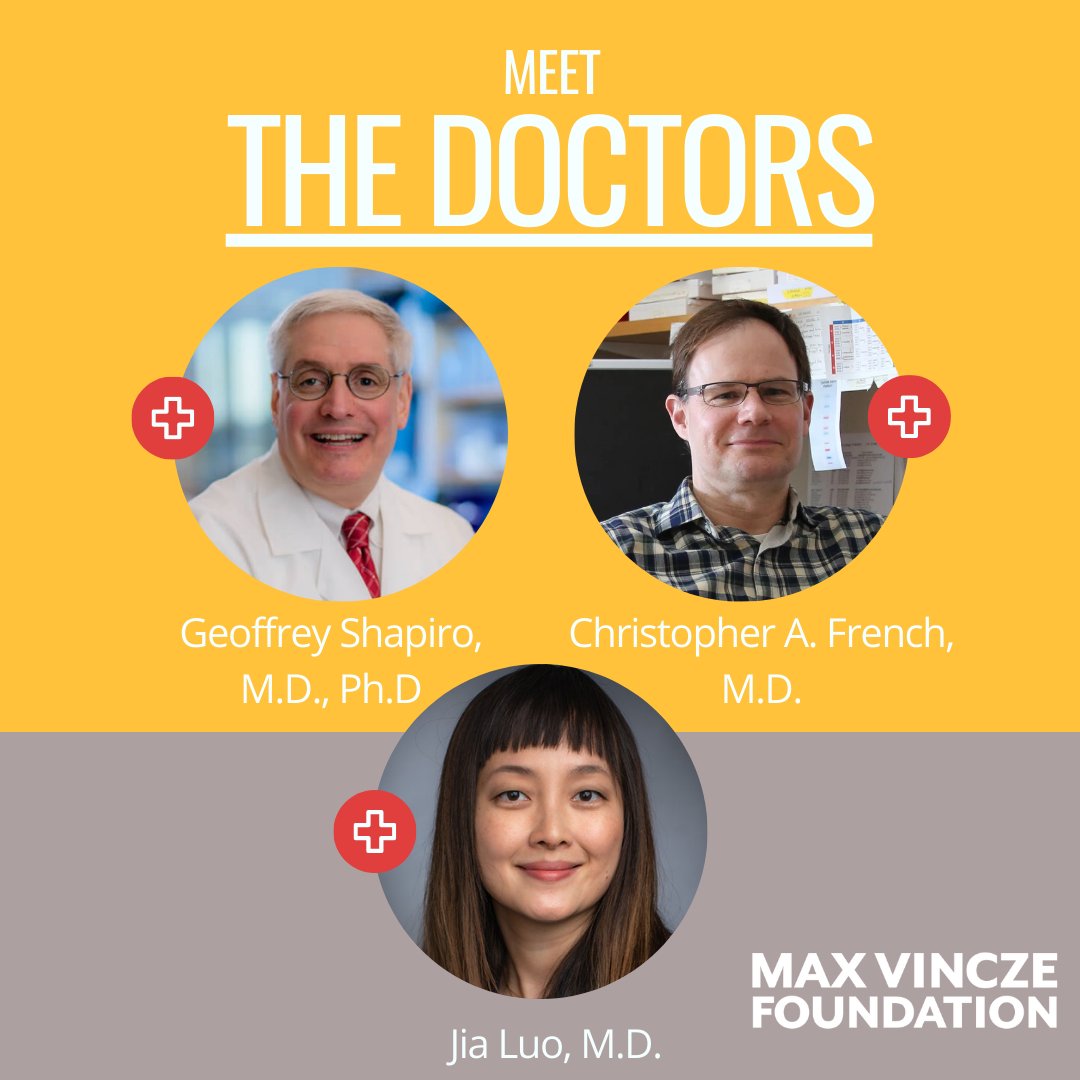 🔬✨ Meet the heroes fighting NUT carcinoma. Dr. French pioneers innovative research, Dr. Shapiro transforms discoveries into clinical trials, and Dr. Luo offers hope to patients.

The Max Vincze Foundation is proud of this partnership!

Learn more: maxvfound.org/new-page-1