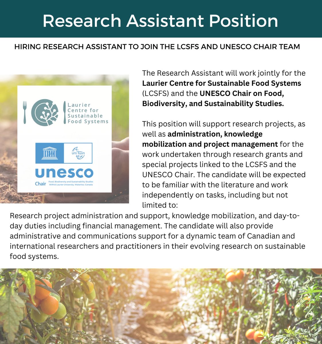 The Laurier Centre for Sustainable Food Systems (@lcsfsresearch) on Twitter photo Interested in working with <a href="/UNESCOchairFBSS/">UNESCO Chair, FBSS</a>
and <a href="/LCSFSresearch/">The Laurier Centre for Sustainable Food Systems</a>? Check out the open position below! More details here: tinyurl.com/2vvd8stf
Apply or inquire via email to lcsfs@wlu.ca. We look forward to hearing from you!
#hiring #sustainability #foodsystems #research Interested in working with <a href="/UNESCOchairFBSS/">UNESCO Chair, FBSS</a>
and <a href="/LCSFSresearch/">The Laurier Centre for Sustainable Food Systems</a>? Check out the open position below! More details here: tinyurl.com/2vvd8stf
Apply or inquire via email to lcsfs@wlu.ca. We look forward to hearing from you!
#hiring #sustainability #foodsystems #research