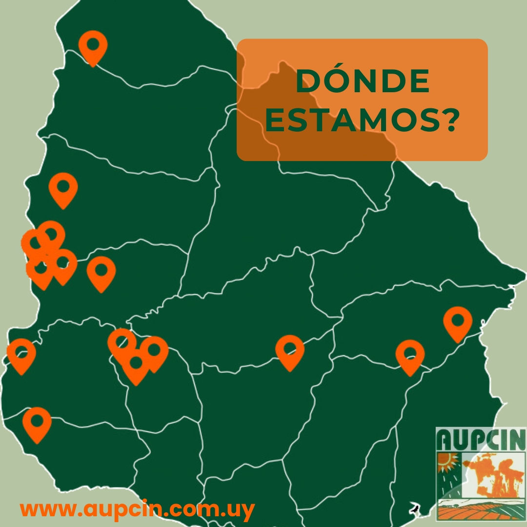 Los corrales de nuestros asociados están distribuidos en todo el país. #aupcin #ganaderiaintensiva #produccionintensiva #feedlot