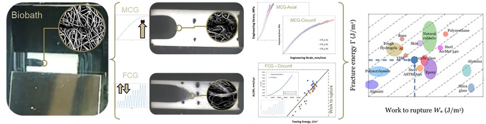 siminsitu tweet media