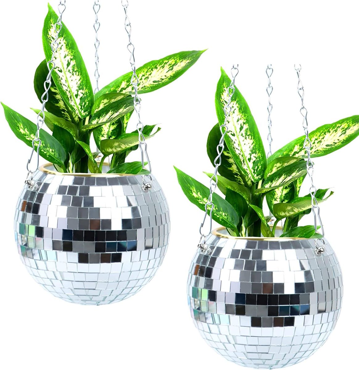 man_cave_stuff's tweet photo. Disco Ball Planter
Ad - See Amazon link >> https://t.co/0JhRnHdov7 

#disco #plants #garden https://t.co/urnZJhqJgn