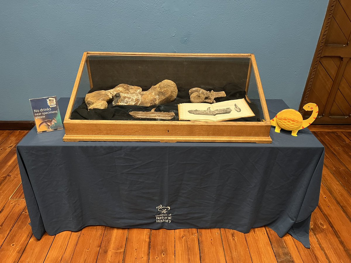 Dr Emma Louise Nicholls tweet media