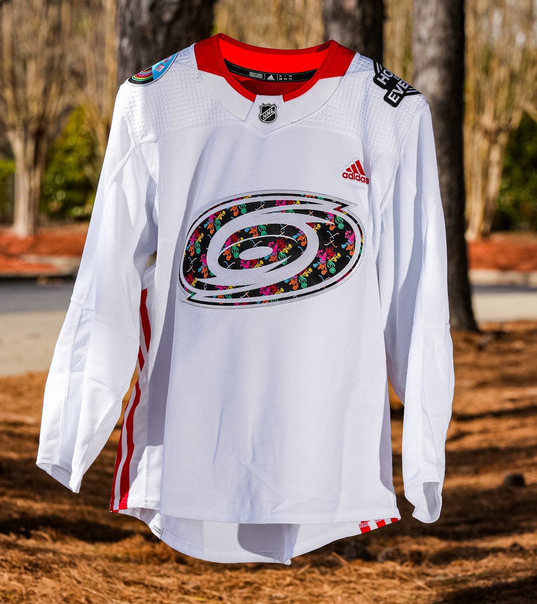 Canes's tweet photo. Inspired by the strength and resilience of nature 🌼

Our Pride specialty jersey, designed by Durham artist Chelsea Amato, is here.

Read » https://t.co/JwqovYjsM9 https://t.co/ltWRQuLHHd