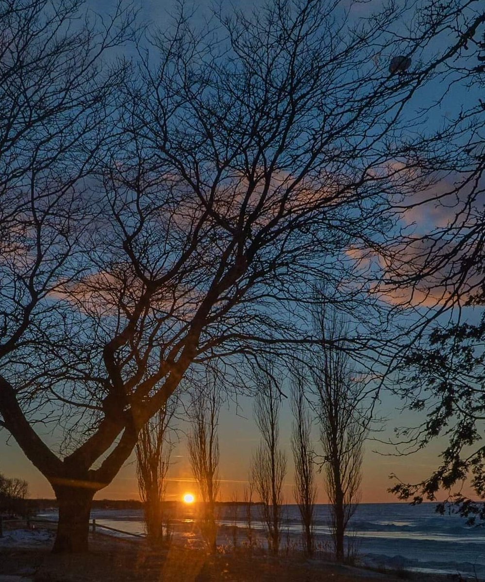 Good afternoon, happy Wednesday! ☕🔆💛