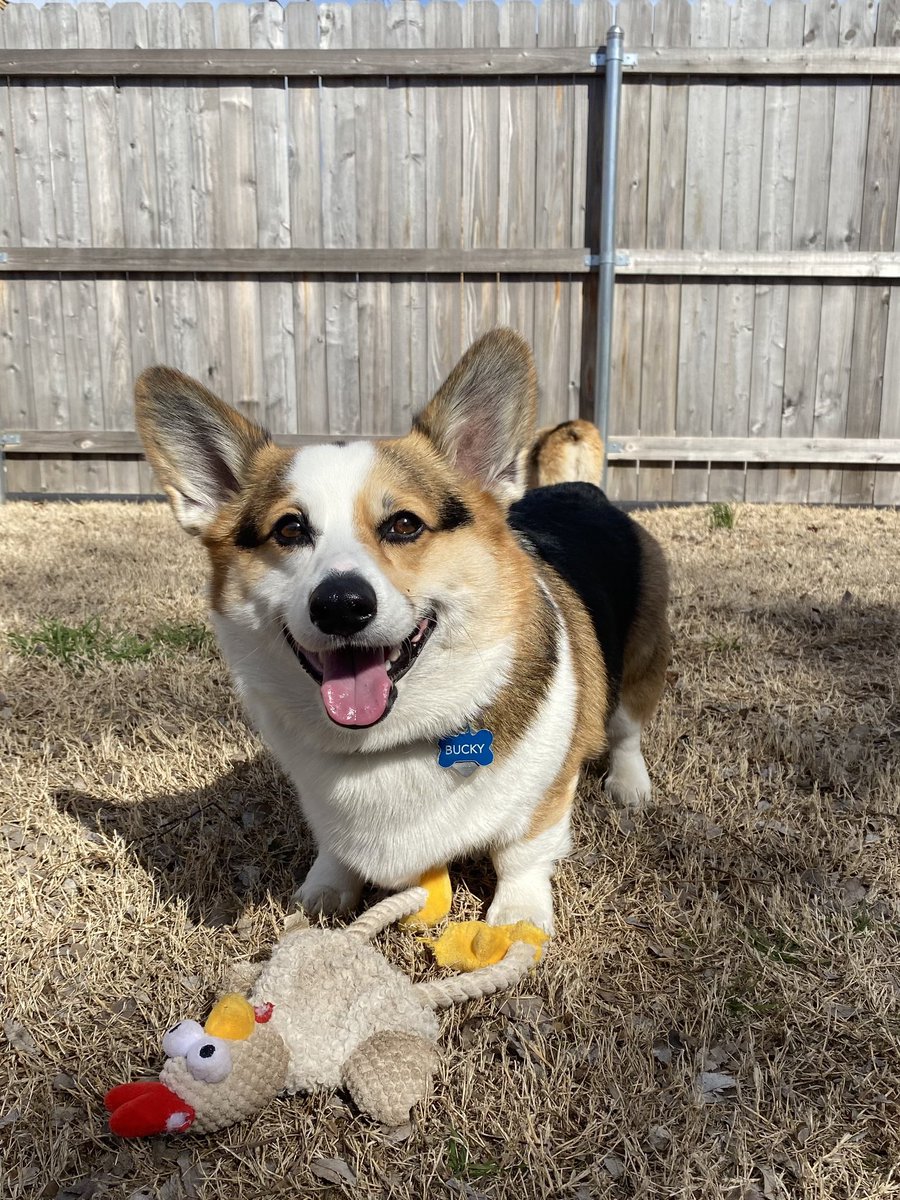 It’s Chuck’s butt in the background that really makes this pic.