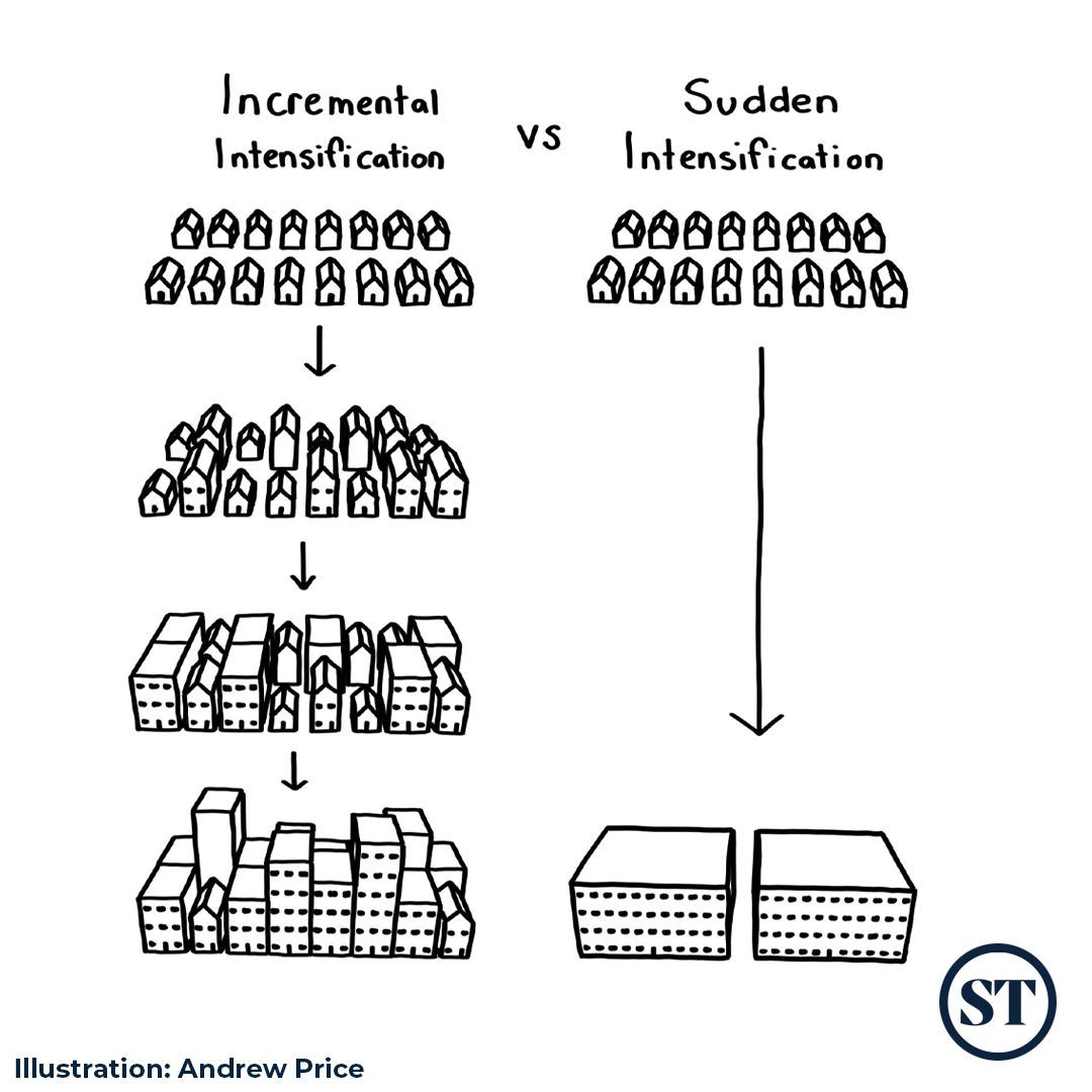 tracetheprocess's tweet image. #tracetheprocess #Time #Growth