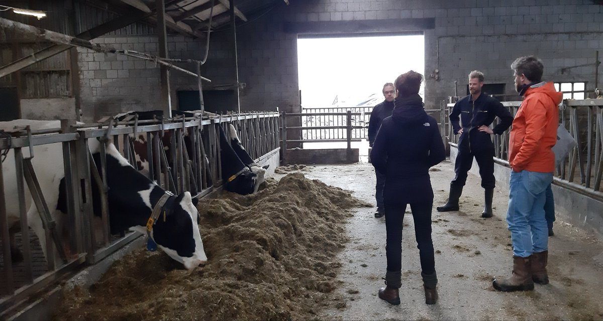 Ingrid Kerkvliet (@ikerkvliet) on Twitter photo Voor <a href="/NatuurMilieuGld/">Natuur en Milieu Gelderland</a> in de #Achterhoek: in gesprek met o.a. @depatrijs en <a href="/lenteland/">Lenteland</a> over #agroforestry en voedsellandcshap vd toekomst. En bij sessie <a href="/regioAN/">Groene Metropoolregio Arnhem-Nijmegen</a> over de #GroeneMantel van #Nijmegen. Er gebeurt al veel voor een gezond buitengebied en er is nog veel meer nodig! Voor <a href="/NatuurMilieuGld/">Natuur en Milieu Gelderland</a> in de #Achterhoek: in gesprek met o.a. @depatrijs en <a href="/lenteland/">Lenteland</a> over #agroforestry en voedsellandcshap vd toekomst. En bij sessie <a href="/regioAN/">Groene Metropoolregio Arnhem-Nijmegen</a> over de #GroeneMantel van #Nijmegen. Er gebeurt al veel voor een gezond buitengebied en er is nog veel meer nodig!