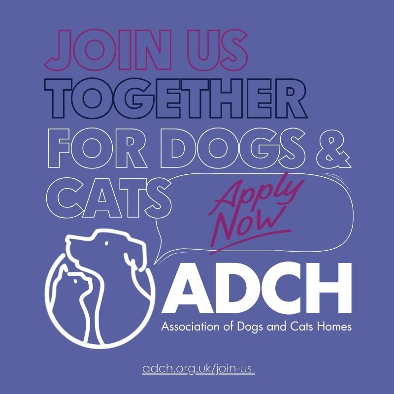 Are you...🔎 ✅A registered charity ✅Involved in the rescue and rehoming of dogs and/ or cats ✅Based in the UK or Republic of Ireland ✅Committed to ensuring high standards of animal welfare Join us together for dogs and cats!🐾 Apply now 📥 buff.ly/4943WqM #ADCH