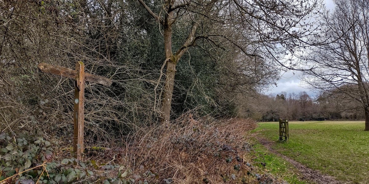 The #LondonLOOP on #KenleyCommon for #fingerpostfriday. The path crosses the old road across the common on the edge of a strip of #ancientwoodland - this is the only part of the common which was saved when #KenleyAerodrome was constructed in the 1920s and 30s