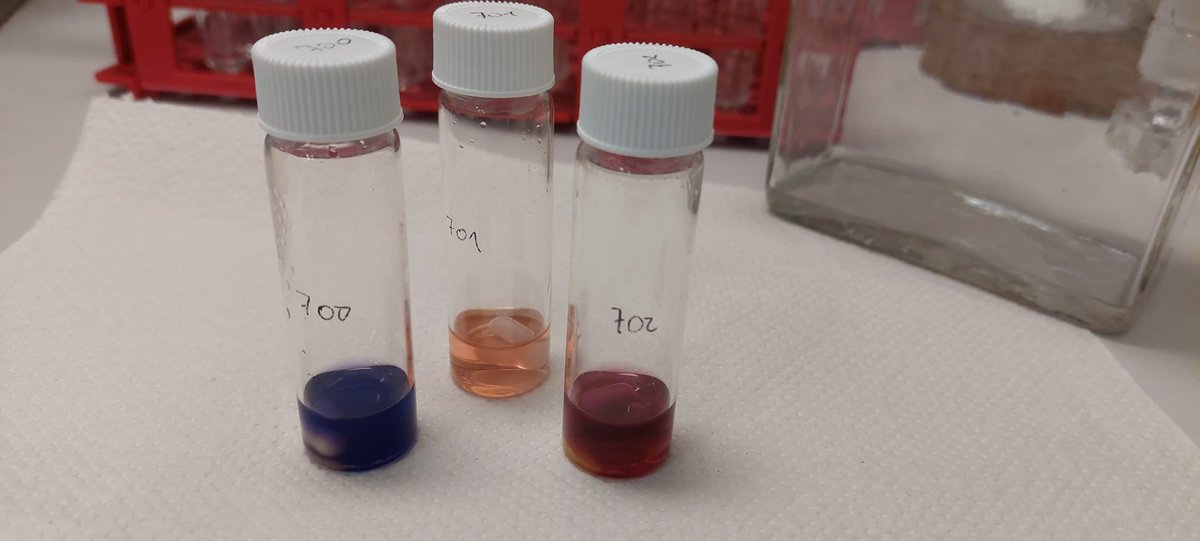 MaulideLab's tweet photo. When your series of crudes color-coordinate in a nice ombré😍 Happy wednesday!
#ColorChemistry #OrganicChemistryLab #TwitterGang https://t.co/dJhvB1ze42