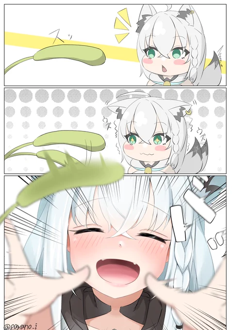 猫の日🐈
 #絵フブキ 