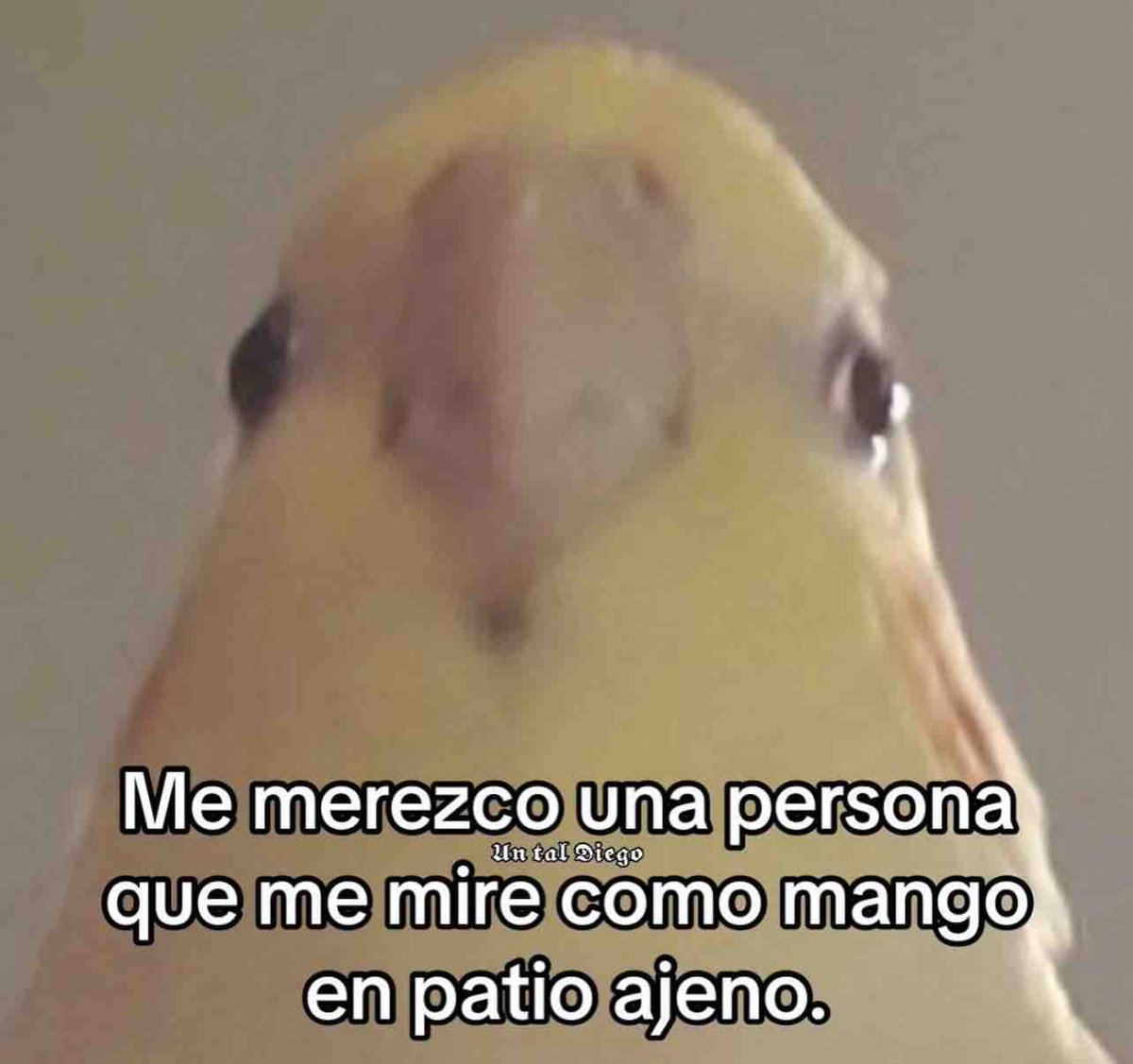 Guarromantico_'s tweet photo. https://t.co/JheRX9JUrX