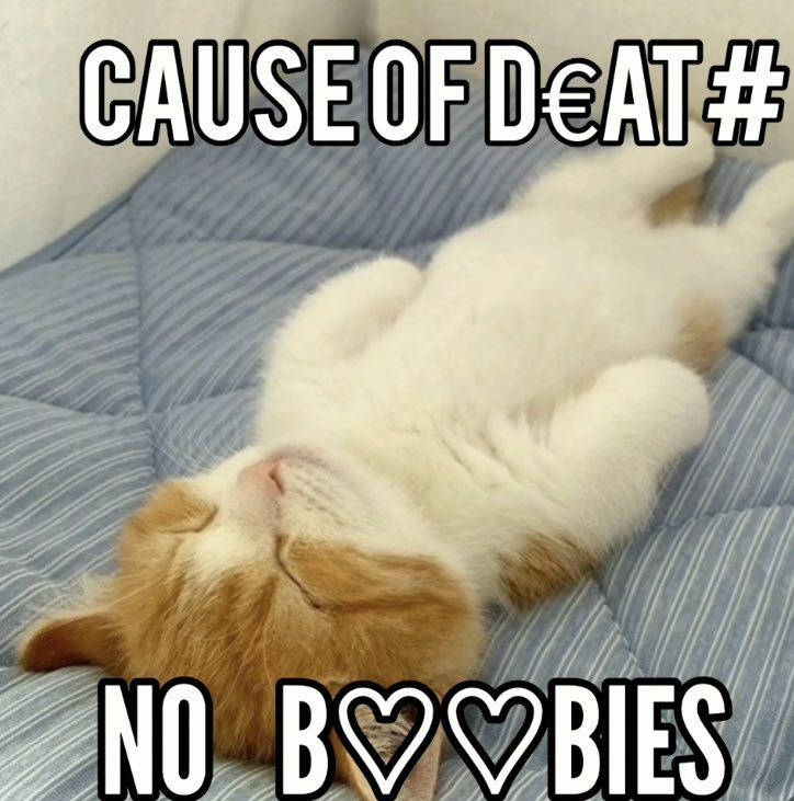 cravedcuddle's tweet photo. https://t.co/RYSpNvGIro