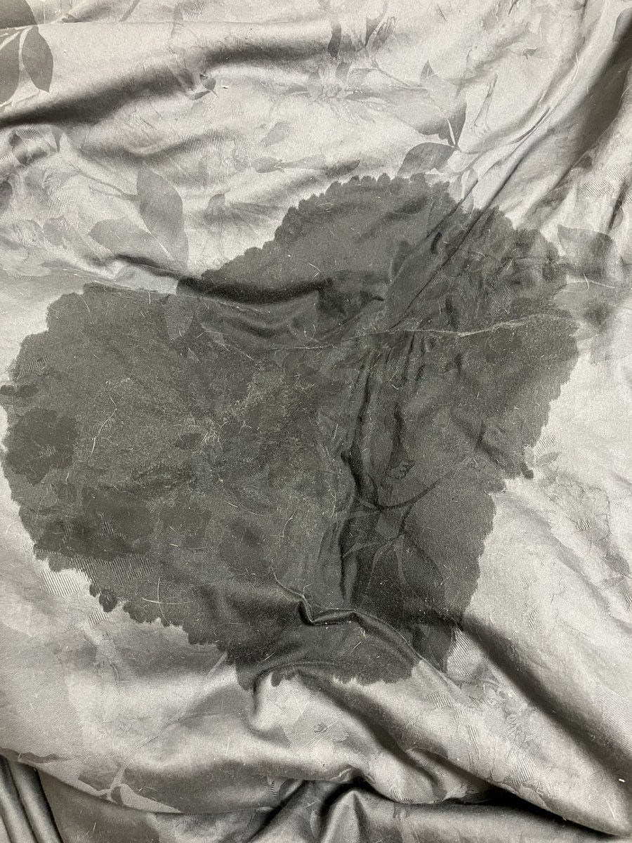 SAK_SAK_SAKUMA's tweet image. さっきまでの自分はね、
さてと、そろそろお風呂に入るかと、
寝巻き今日変えるかと、
寝室に入り電気をつけたと、

そして俺の目に飛び込んできた物は、

掛け布団に刻印されていたマーク

あ♡ハートだ♡