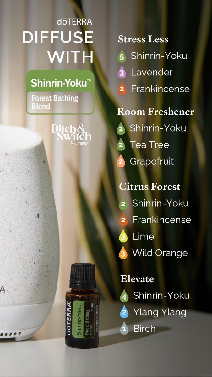 Ready for a walk in the woods? Bring the outdoors to you with these Shinrin-yoku diffuser blends.  #shinrinyoku #diffuserblends #woody