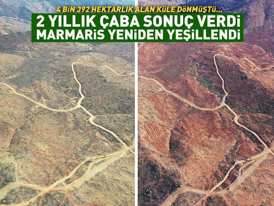 4 bin 392 hektarlık alan küle dönmüştü: 2 yıllık çaba sonuç verdi, Marmaris yeniden yeşillendi! buff.ly/3SMX1LJ