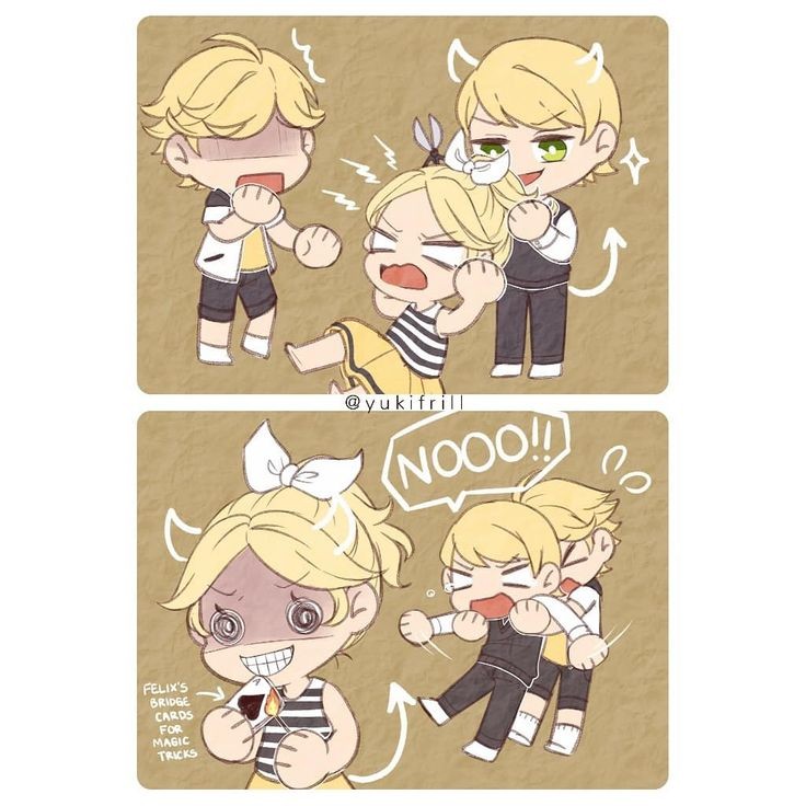 Adrien 🐾 (@catmeowpurrr) on Twitter photo 