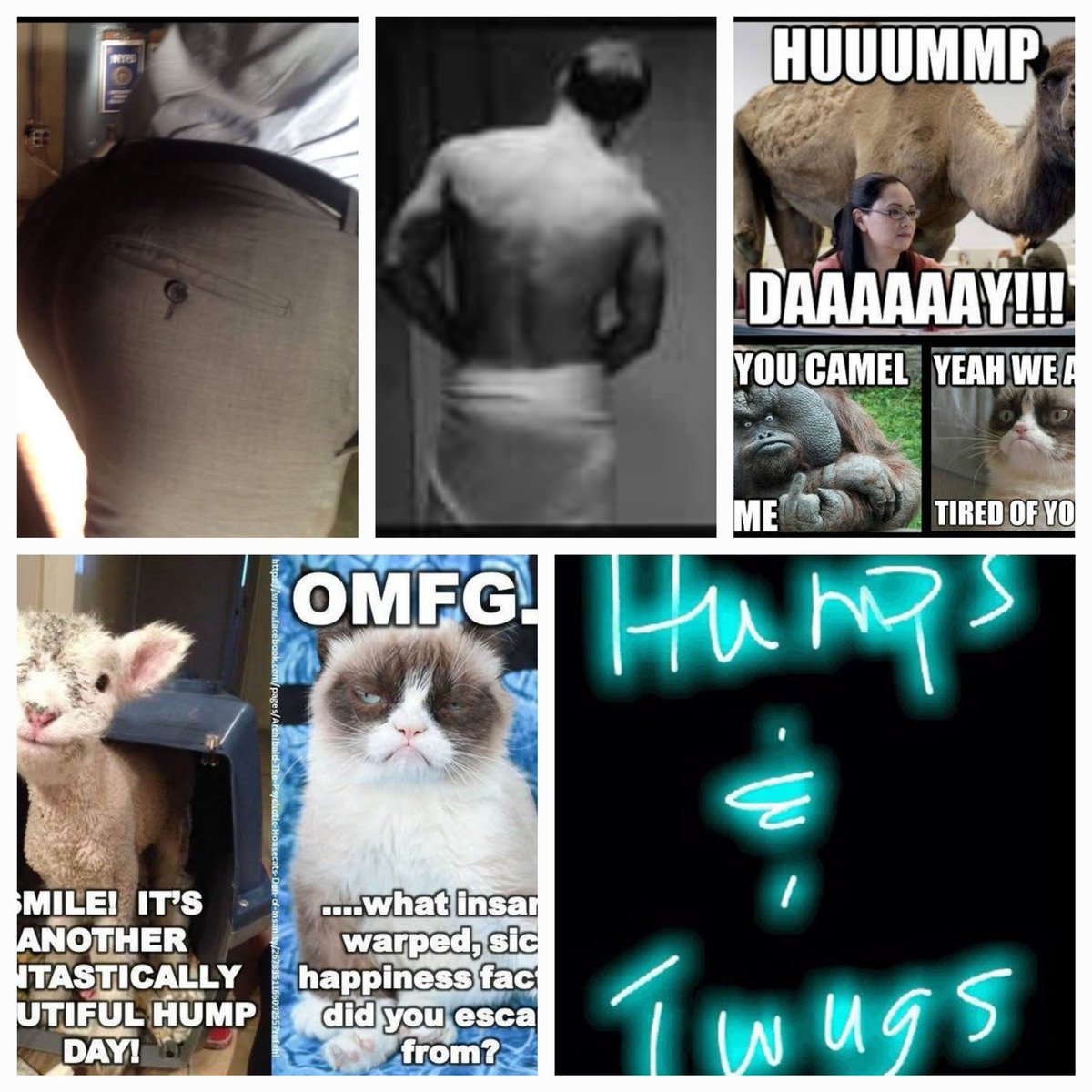 SherrieFinch16A's tweet photo. @DonnieWahlberg @DDUBGIRL69 @JaimeDonnieGirl @Ruth_A_Day @Renee_Houston06 @AmandaMinton18 @DdubsTXEMT1980 #happyhumpday #rumpday https://t.co/ePoFFQ6kZW