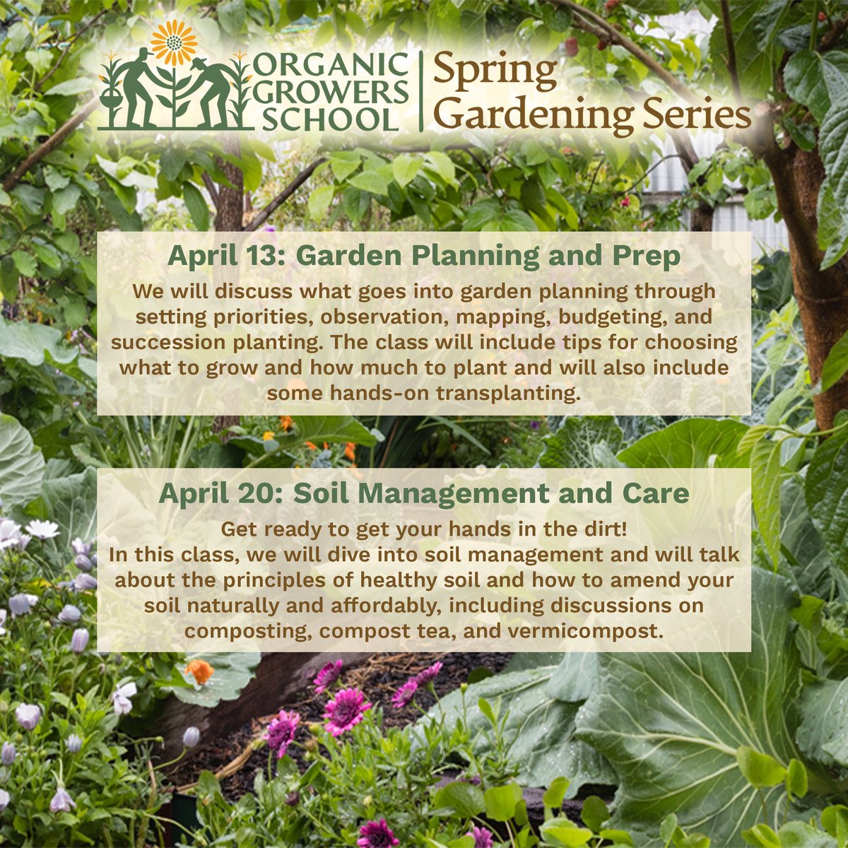 OGSNC's tweet image. Join us for the upcoming four-part Gardening Series! 🌼🐝🥬 Learn more and register: hubs.la/Q02lQlf60