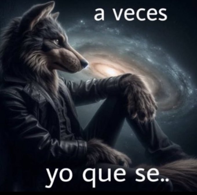 souul ​​❄️​​ tweet media