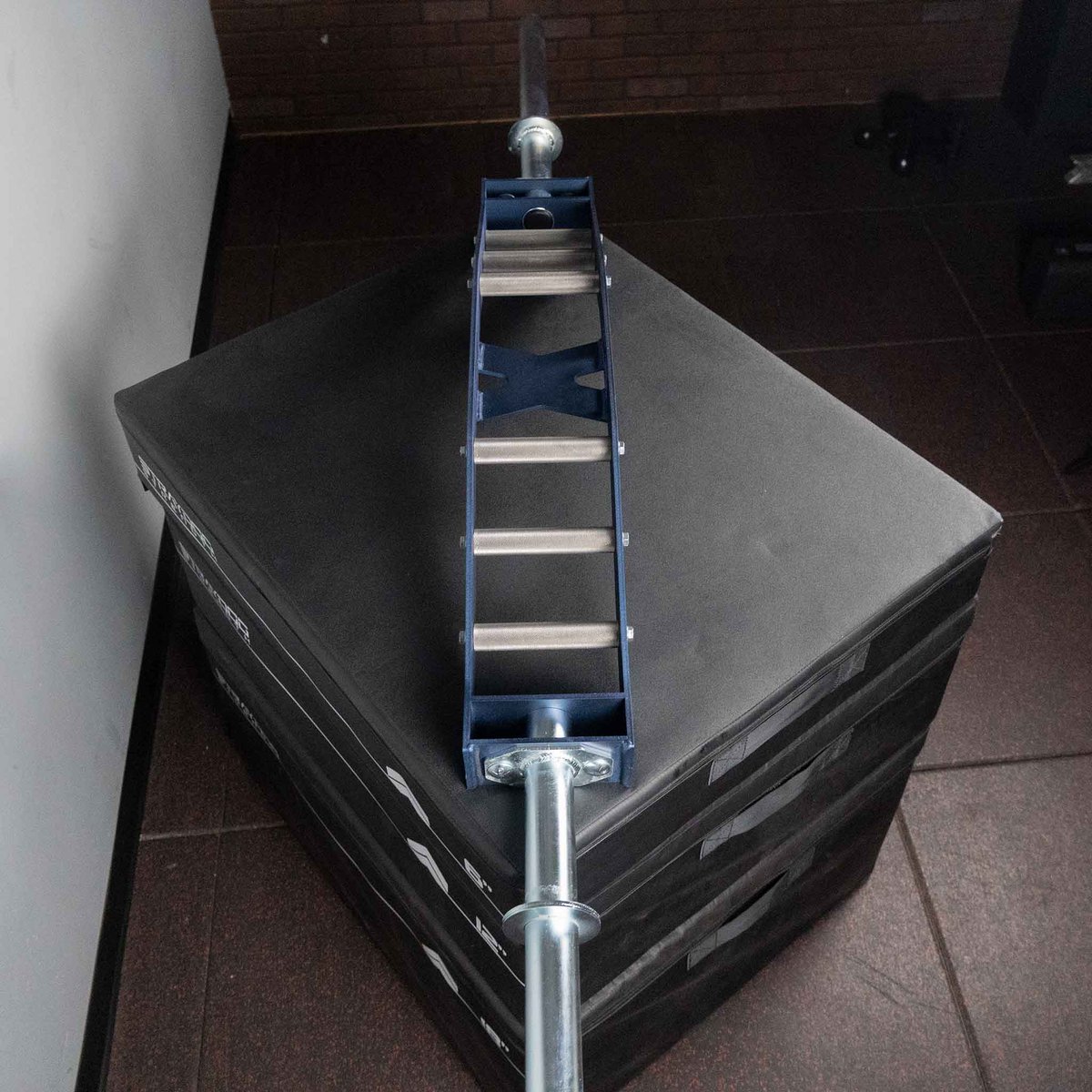 StrayDogStrength tweet media