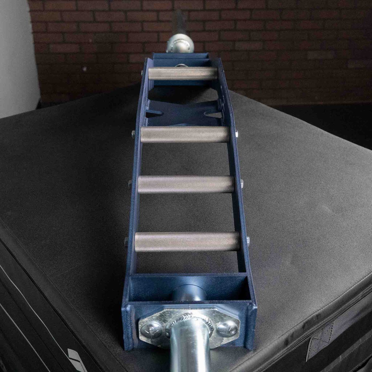 StrayDogStrength tweet media