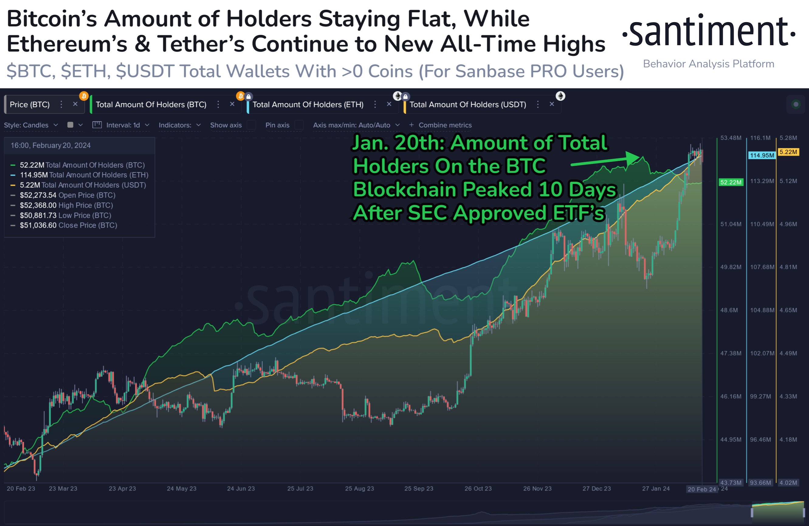 Bitcoin Total Amount of Holders