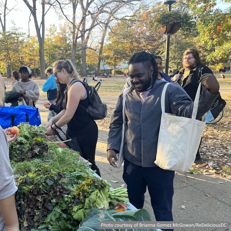 InnovateWDC's tweet photo. "Farmers markets and compost stations, particularly those at Dupont Circle and Eastern Market, are a great way for me to get outdoors and divert my organic waste from landfills to soil!!" Gratitude survey respondent. https://t.co/muiiKYonGc