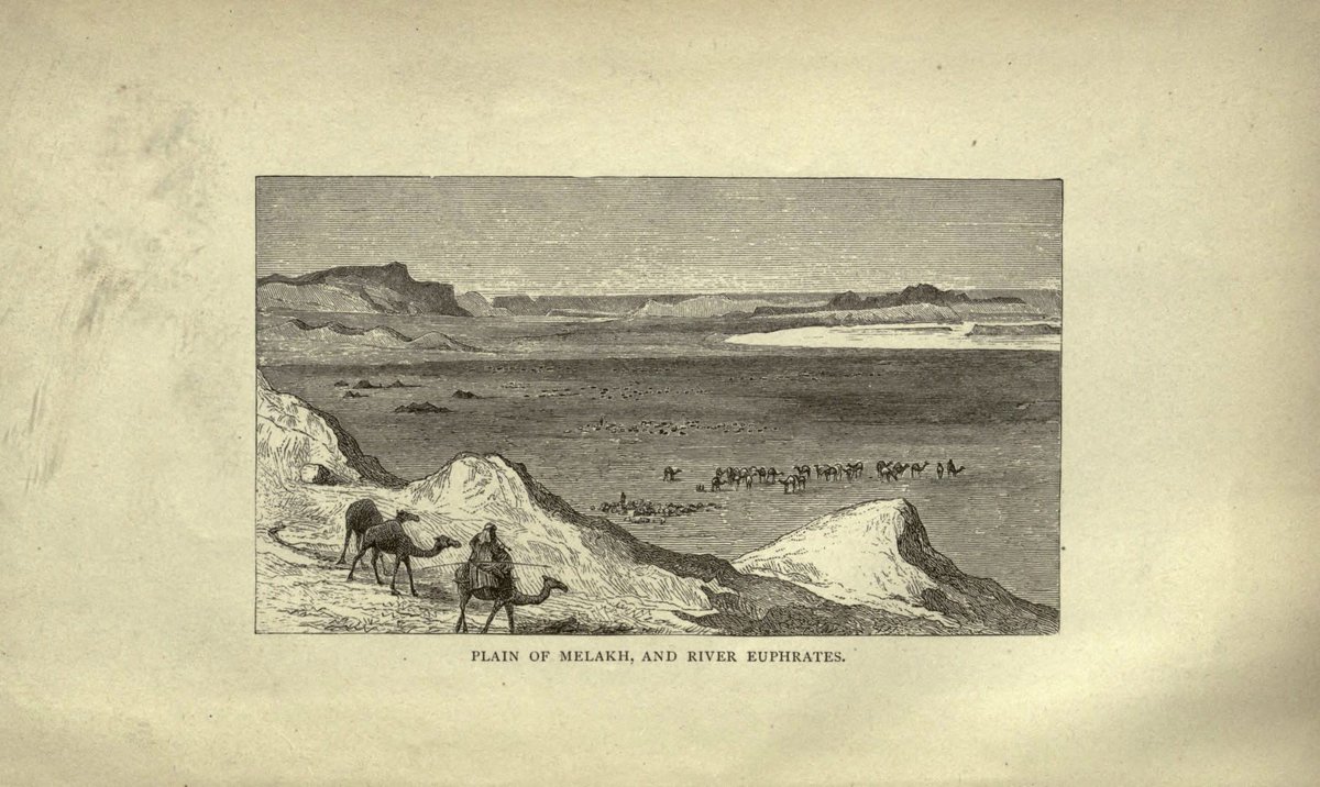 وايل tweet media