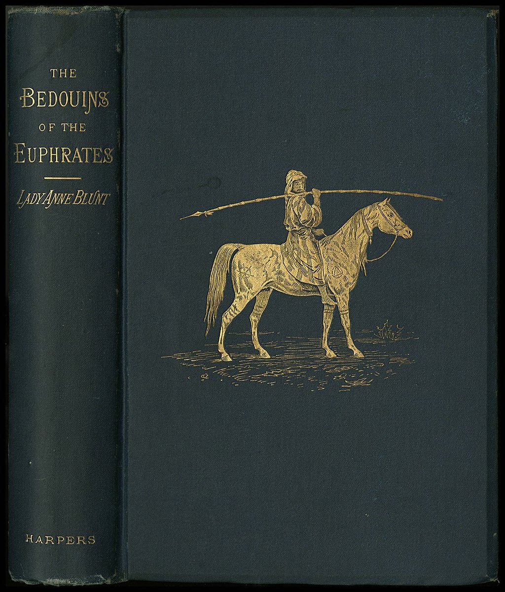 وايل tweet media