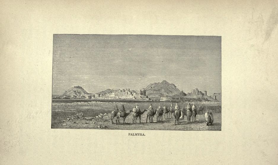 وايل tweet media