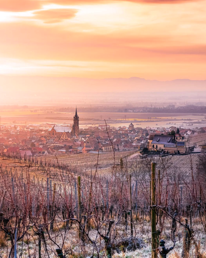 In Alsace the sunsets are almost as good as the wine... 📸#kollerjeremy #DrinkAlsace