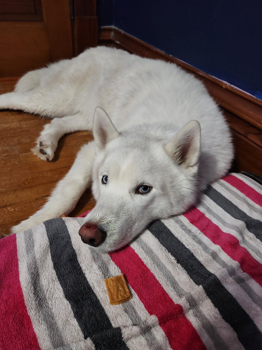 xBCrafted tweet media