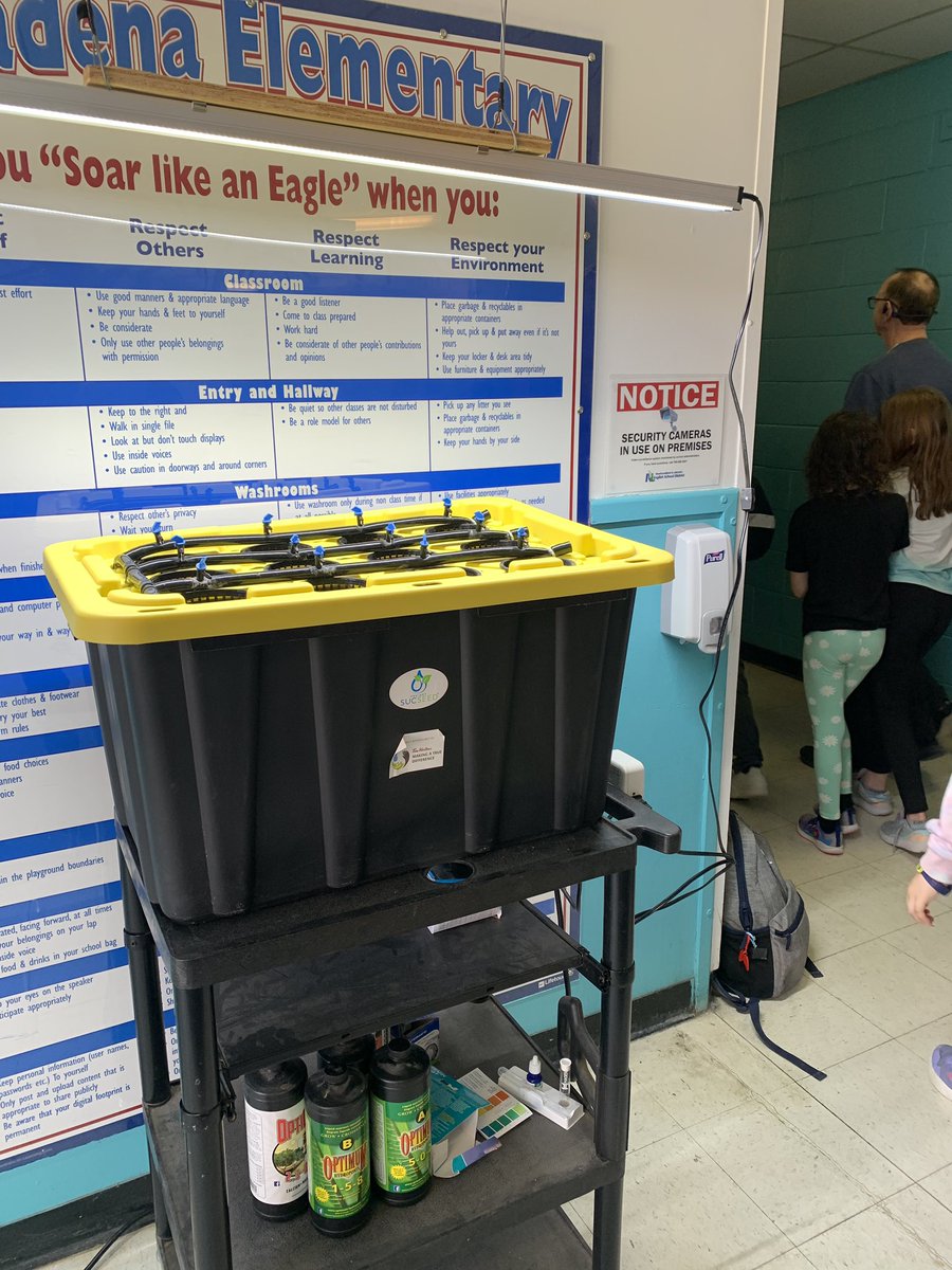 PE’s Library Learning Commons tweet media