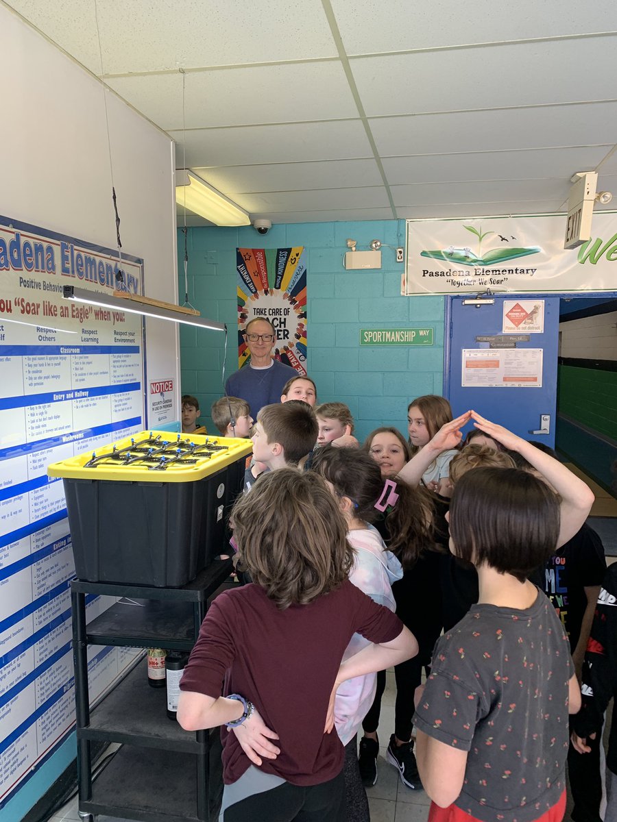 PE’s Library Learning Commons tweet media