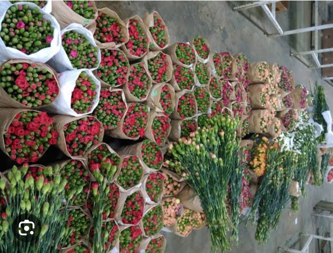 Kesme Çiçek
#karanfil 
#gül
#çiçek 
<a href="/Akparti/">AK Parti</a> <a href="/akpartiantalya7/">AK Parti Antalya</a> <a href="/herkesicinCHP/">CHP 🇹🇷</a> <a href="/rprefahpartisi/">Yeniden Refah Partisi</a> <a href="/iyiparti/">İYİ Parti</a> <a href="/MHP_Bilgi/">MHP</a>