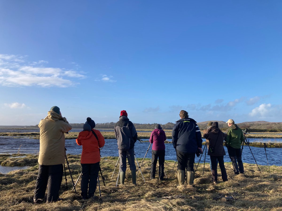 BTO Scotland (@bto_scotland) on Twitter photo We're out on #Islay with <a href="/RSPBScotland/">RSPB Scotland</a> at the Islay Winter Birdlife Festival. We had a topper of a day today leading some workshops on waders, water birds, and gulls. We're out on #Islay with <a href="/RSPBScotland/">RSPB Scotland</a> at the Islay Winter Birdlife Festival. We had a topper of a day today leading some workshops on waders, water birds, and gulls.