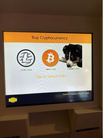 onedogesol's tweet photo. All will gather round for a fraction of oneDoge
#oneDoge $oneD https://t.co/b8Q0RbJD32